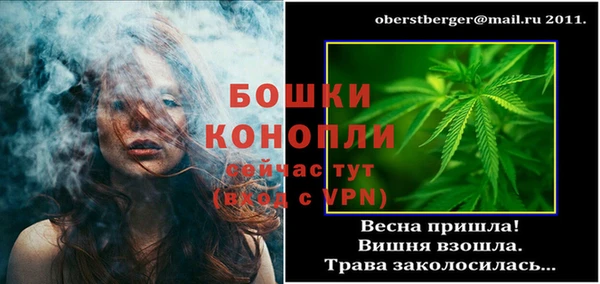 стаф Ладушкин