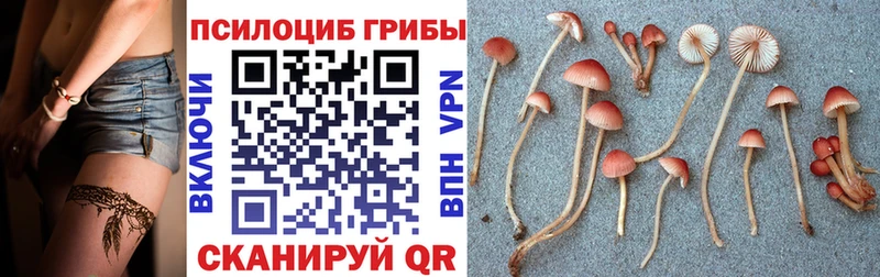 Псилоцибиновые грибы ЛСД  Шали 