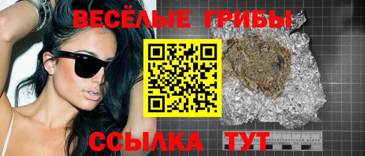 Псилоцибиновые грибы Psilocybine cubensis  Шали 