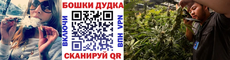 Бошки марихуана сатива Шали